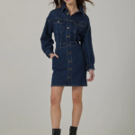 Lee Women European Collection Dropped Shoulder Button Down Dress Greater Blue Clothing 480T419